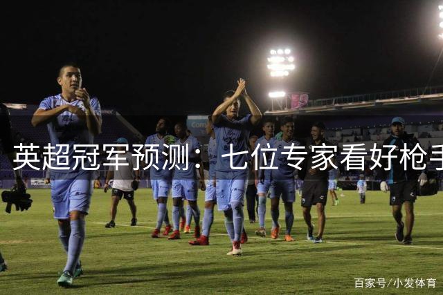 英超冠军预测：七位专家看好枪手 仅一人支持蓝月亮